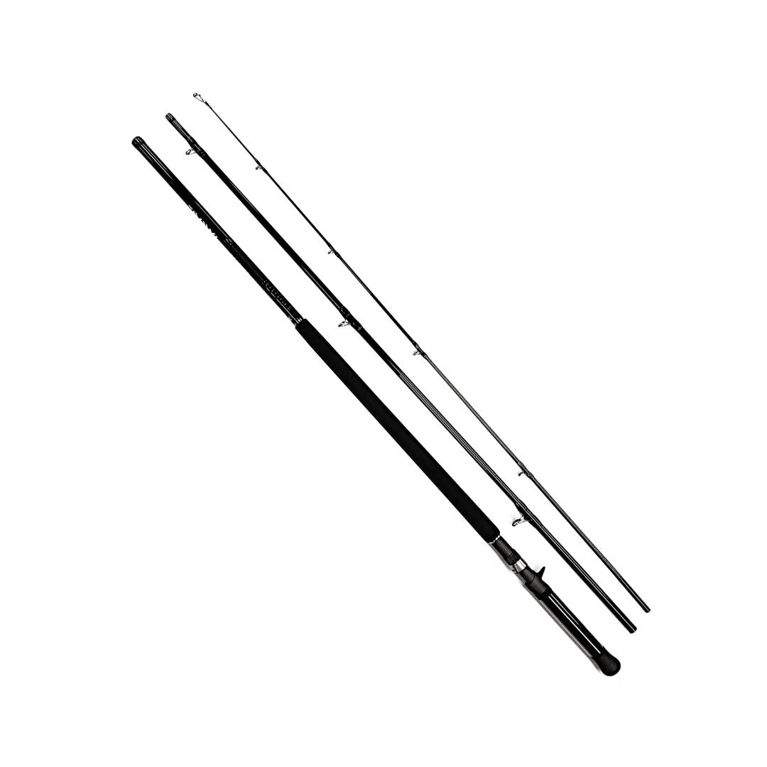 DAIWA SALTIST 13'6