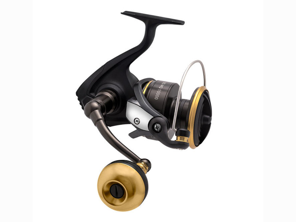 Moulinet Daiwa BG Noir LT 10000-H Spécial Mer - Toutes Mains - Neuf
