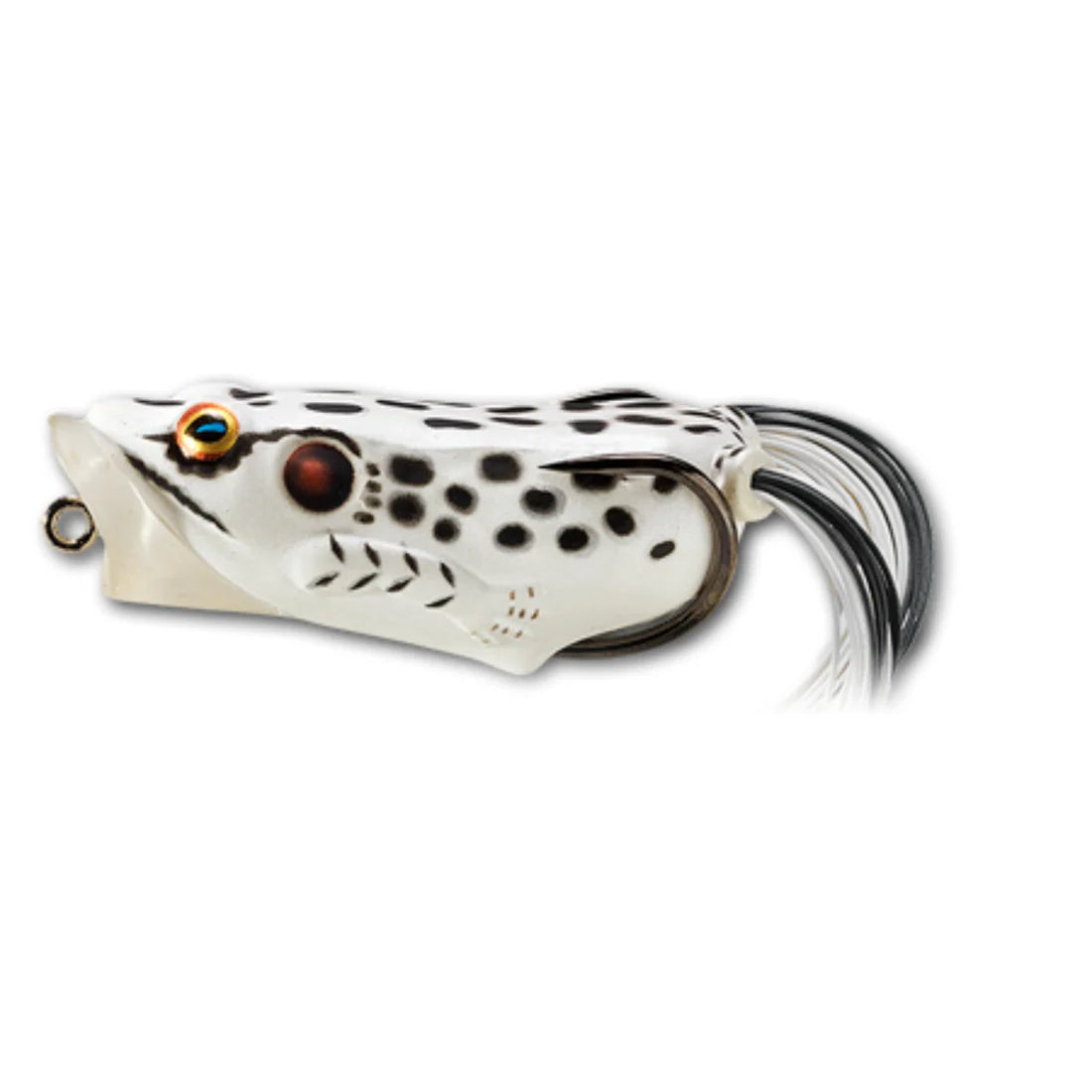 LIVE TARGET HOLLOW BODY FROG POPPER 3/8OZ