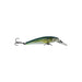 SARDINE