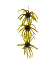 ITTY'S SECRET BAITS 18MM OOGIN 3PC
