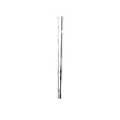 PIONEER BLAST CX 10'0" 2PC CARP ROD