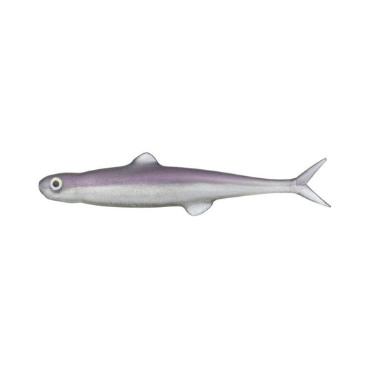 EVERGREEN FACT LAST ACE 75MM