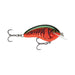 RED CRAWDAD