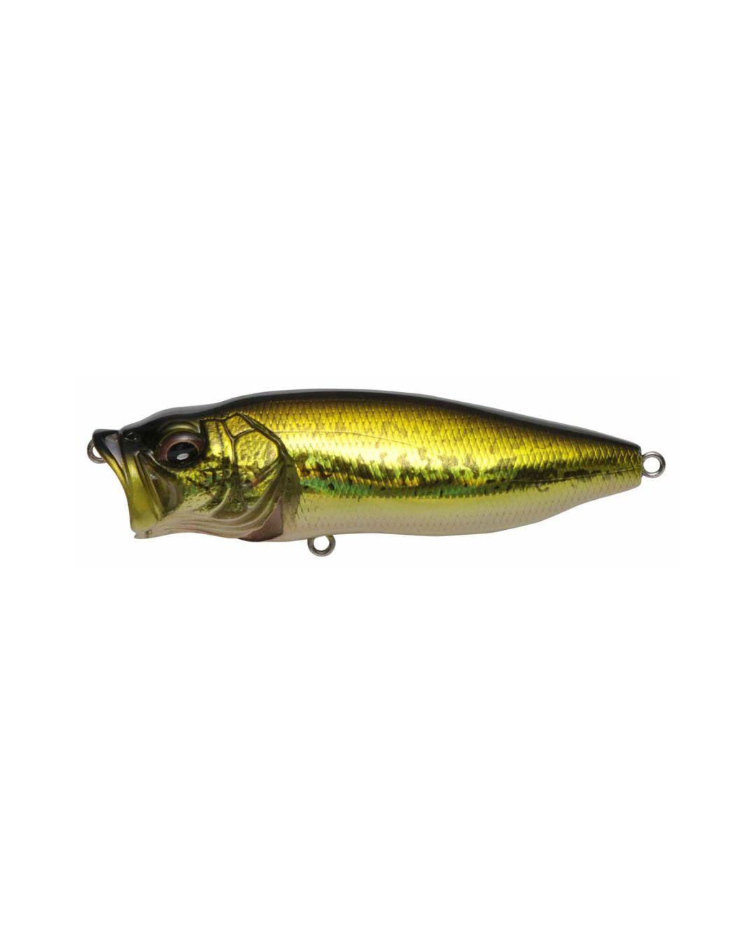 MEGABASS POPMAX
