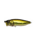 #1 GG BASS