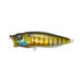 PM WILD GILL