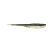 BAITFISH