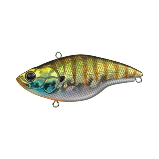 EVERGREEN BUZZER BEATER