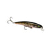 GHOST GILL #922