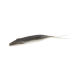 ZOOM SUPER SALT PLUS 6.5" WINGED FLUKES