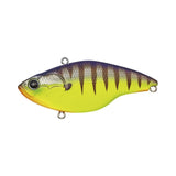 EVERGREEN BUZZER BEATER