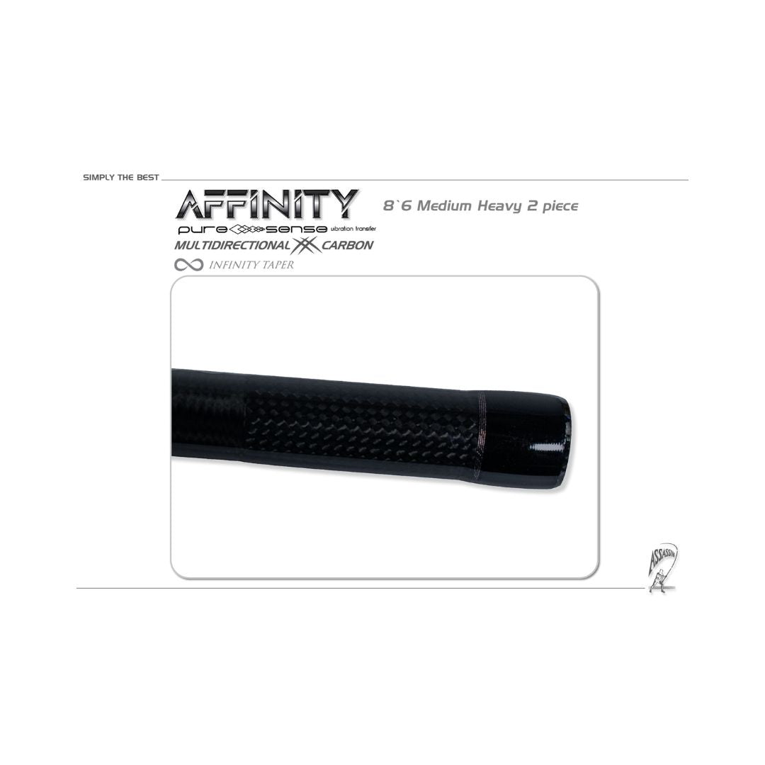 ASSASSIN AFFINITY 12' XH 2PC SHOREGAME ROD