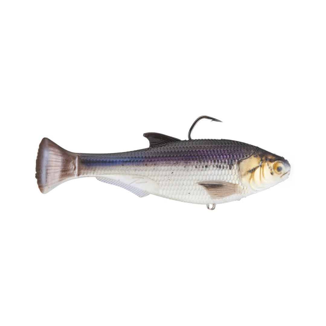 ZMAN SHADTRON 6" SLOW SINKING SWIMBAIT
