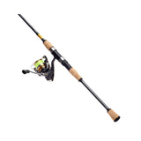 DAIWA LT SPINNING COMBO