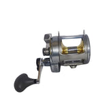SHIMANO TYRNOS REEL