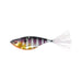 GILL OB