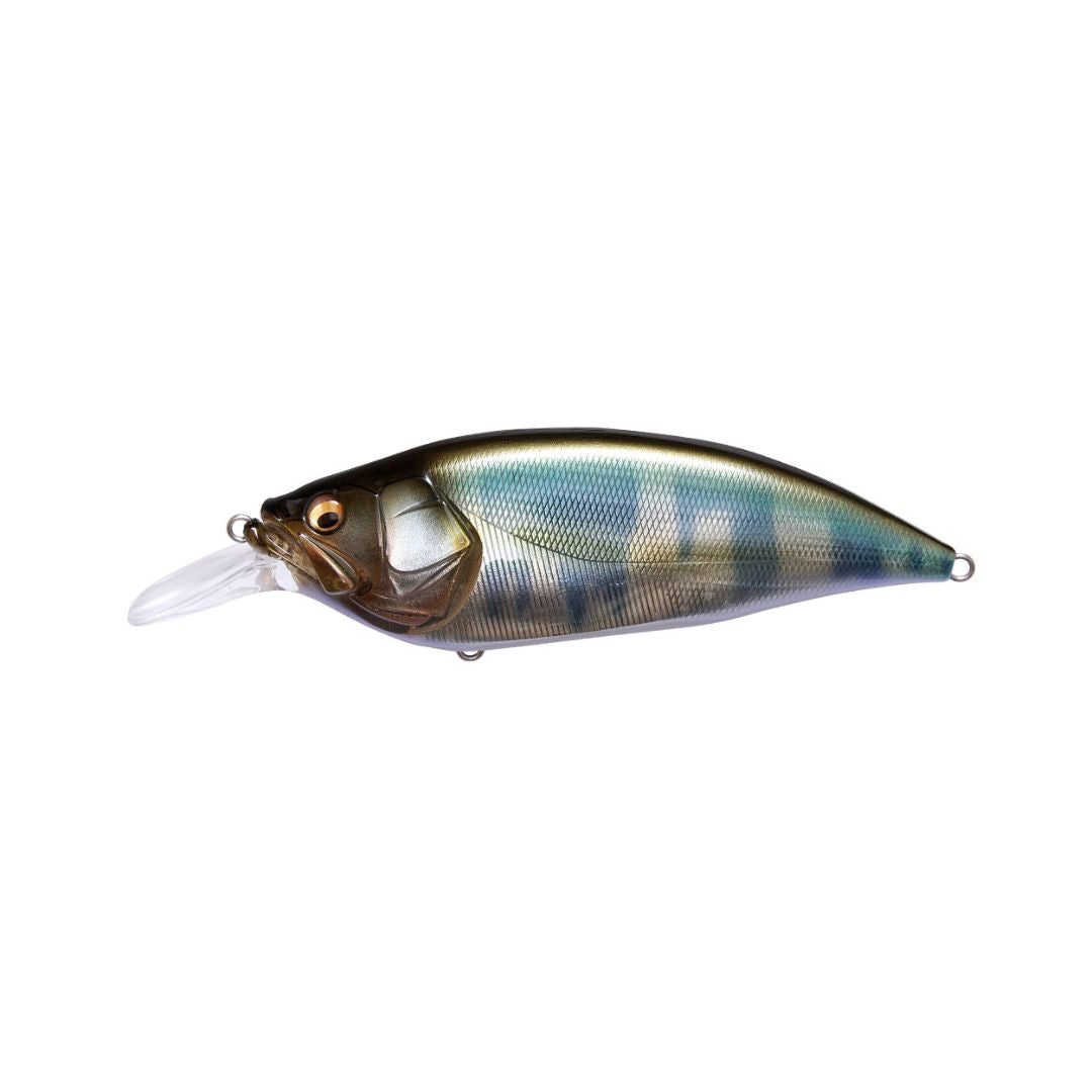 MEGABASS BIG-M4.0