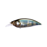 MEGABASS BIG-M4.0