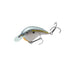 SEXY SHAD 2.0