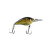 CARP