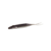 GIZZARD SHAD