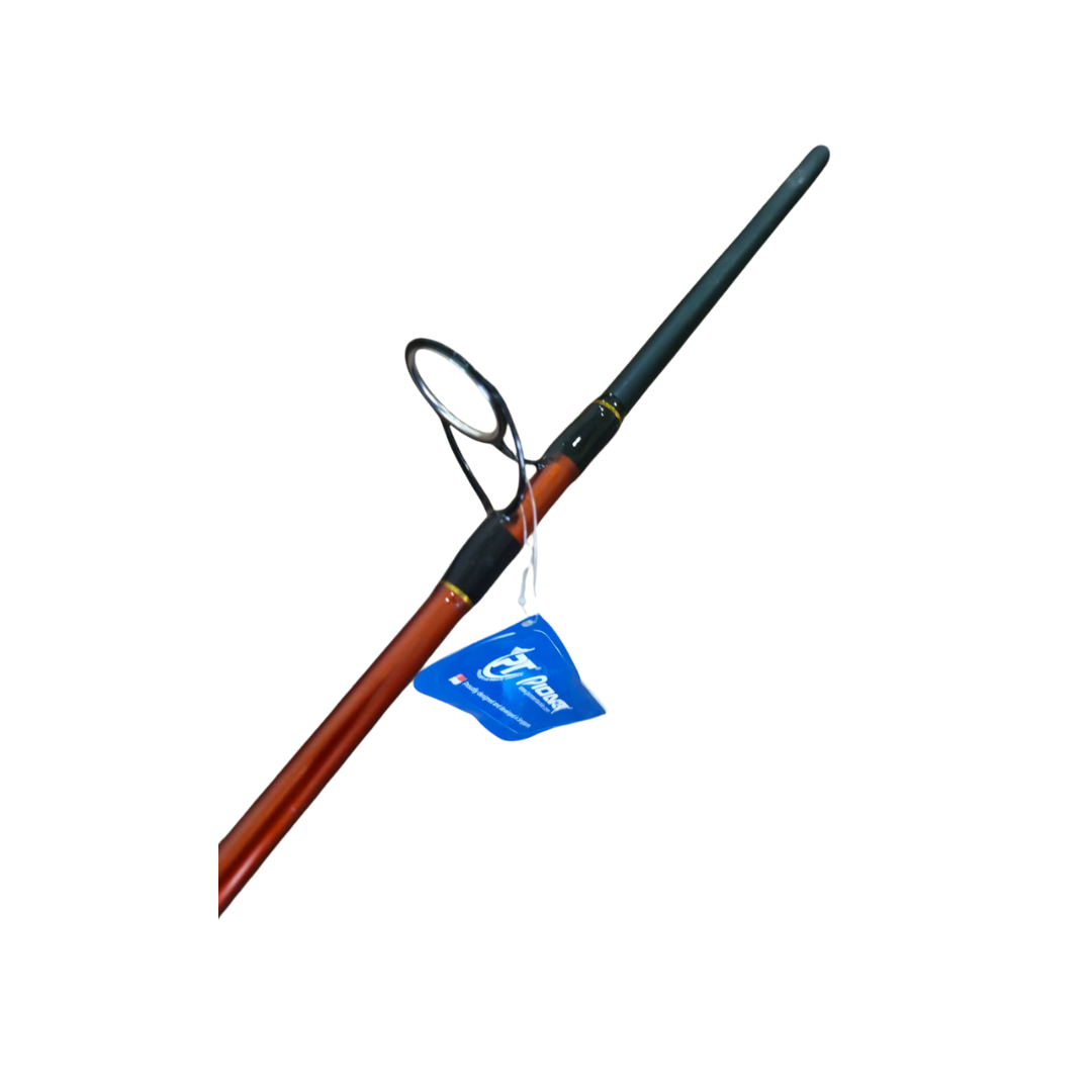 PIONEER CARP SPECIALIST XE 2PC ROD