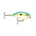 CITRUS SHAD