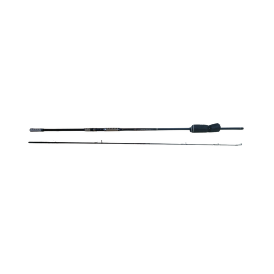 PIONEER CARP SPECIALIST LR ROD