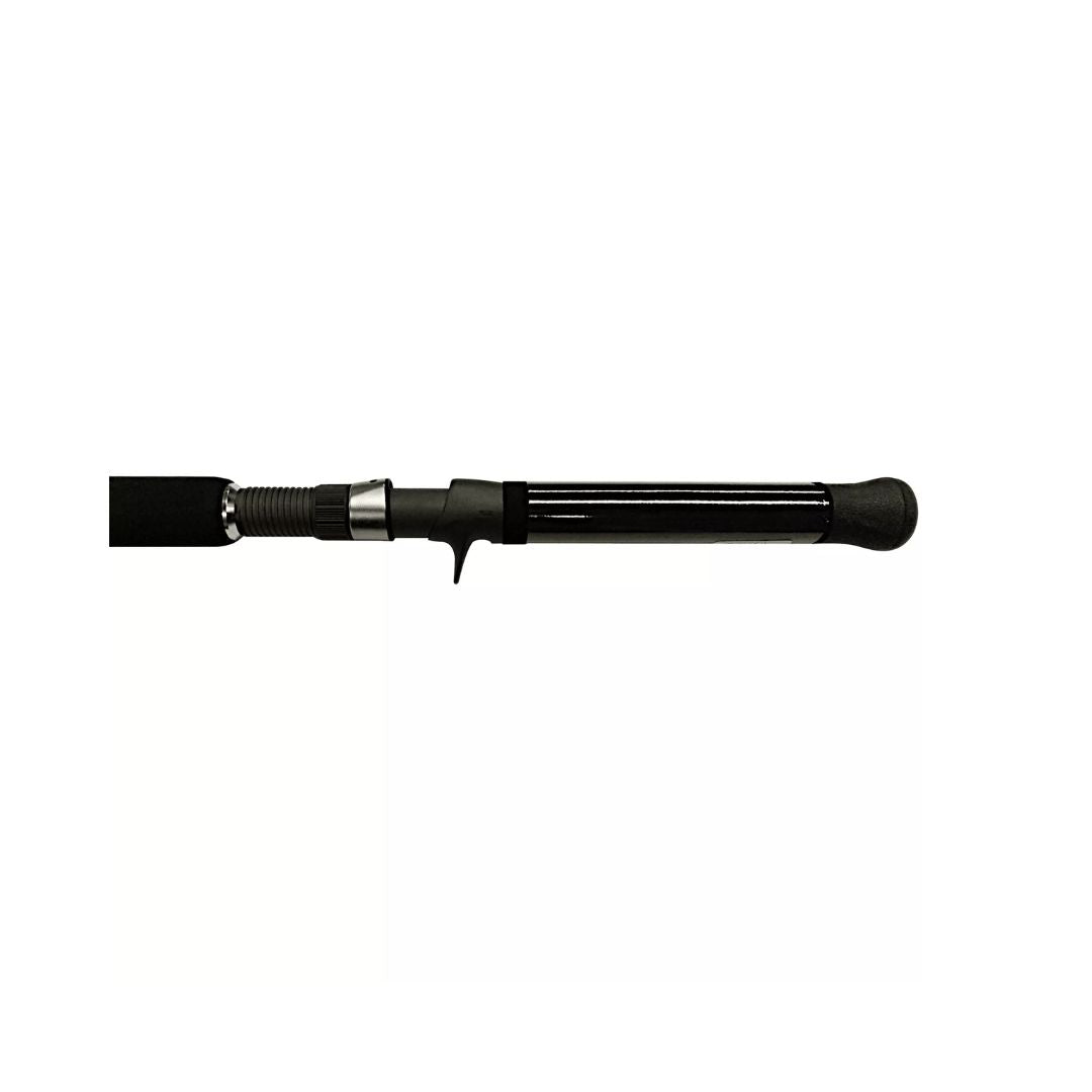 DAIWA SALTIST 13'6