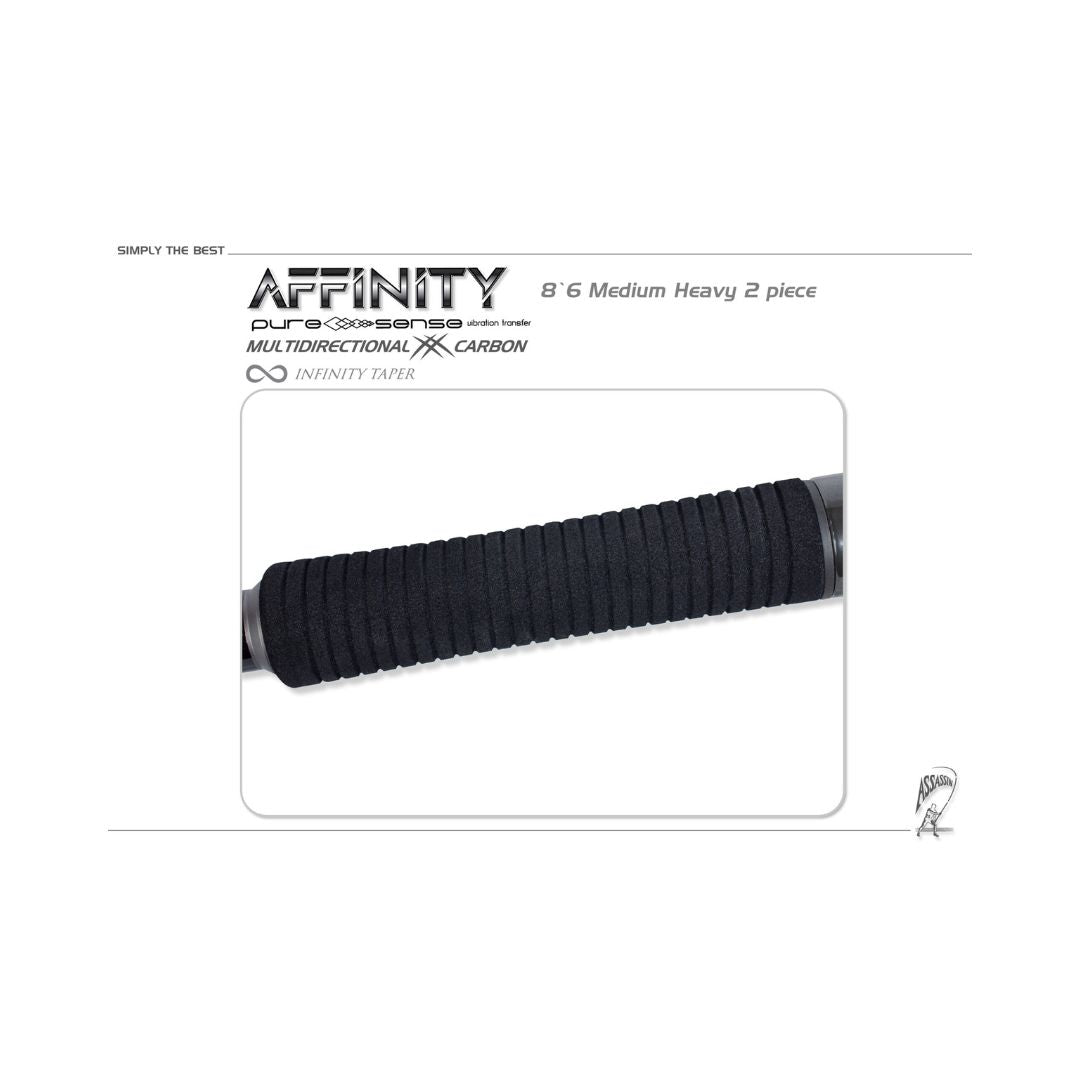 ASSASSIN AFFINITY 12' XH 2PC SHOREGAME ROD