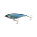 SARDINE