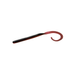 RED SHAD