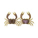GHOST CRAB