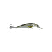 GREEN MACKEREL