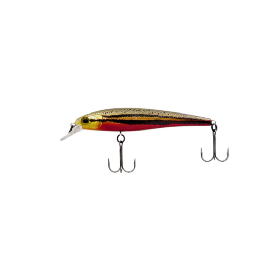 PREDATOR ELITE SERIES TIGER MINNOW JNR.