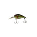 BASS