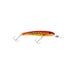 CORAL TROUT