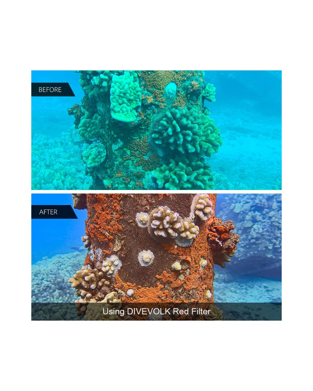 DIVEVOLK SEATOUCH 4 MAX PLUS UNDERWATER HOUSING OCEAN KIT