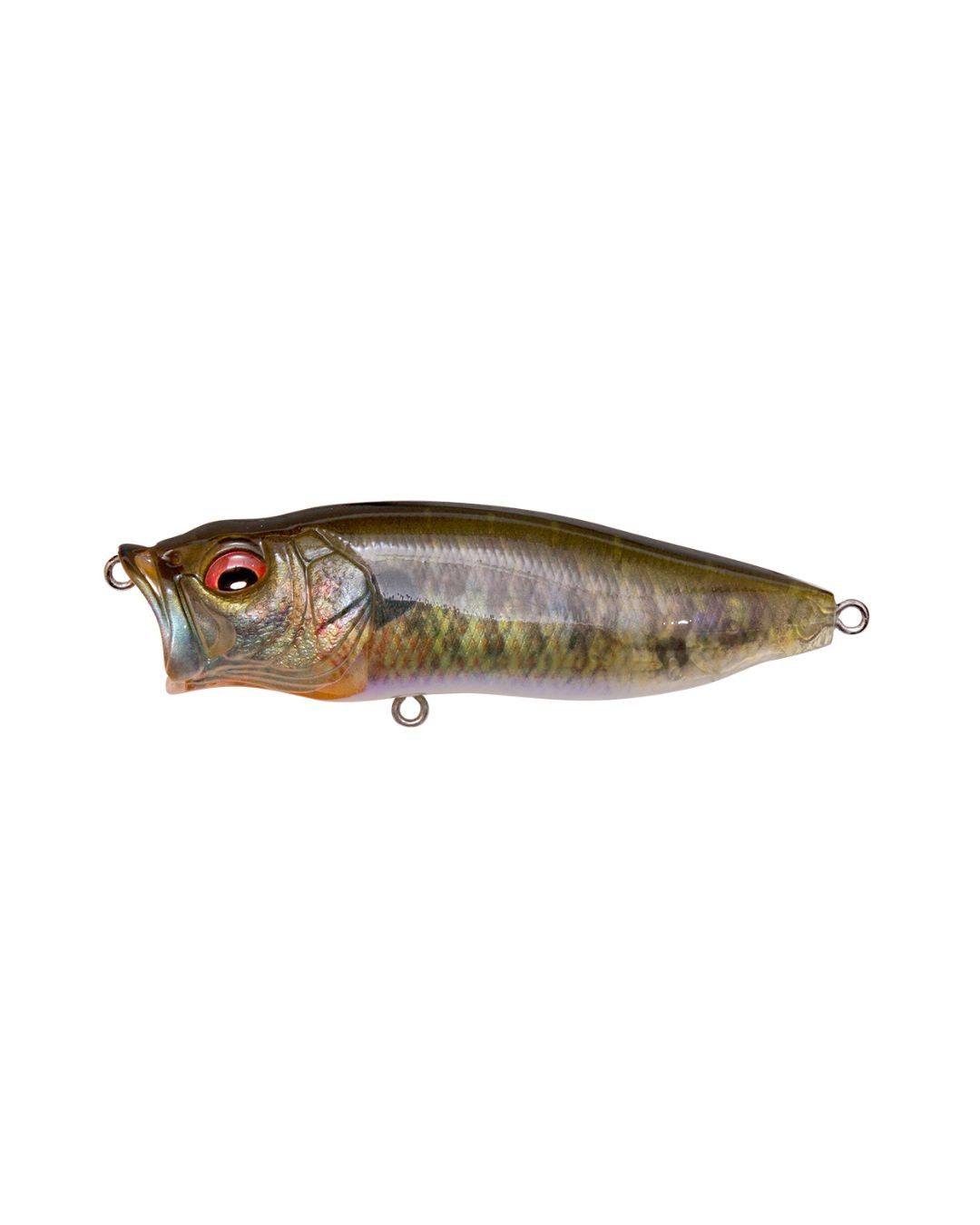 MEGABASS POPMAX