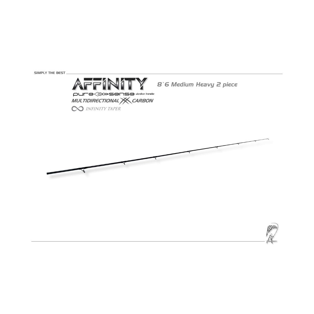 ASSASSIN AFFINITY SHOREGAME RODS