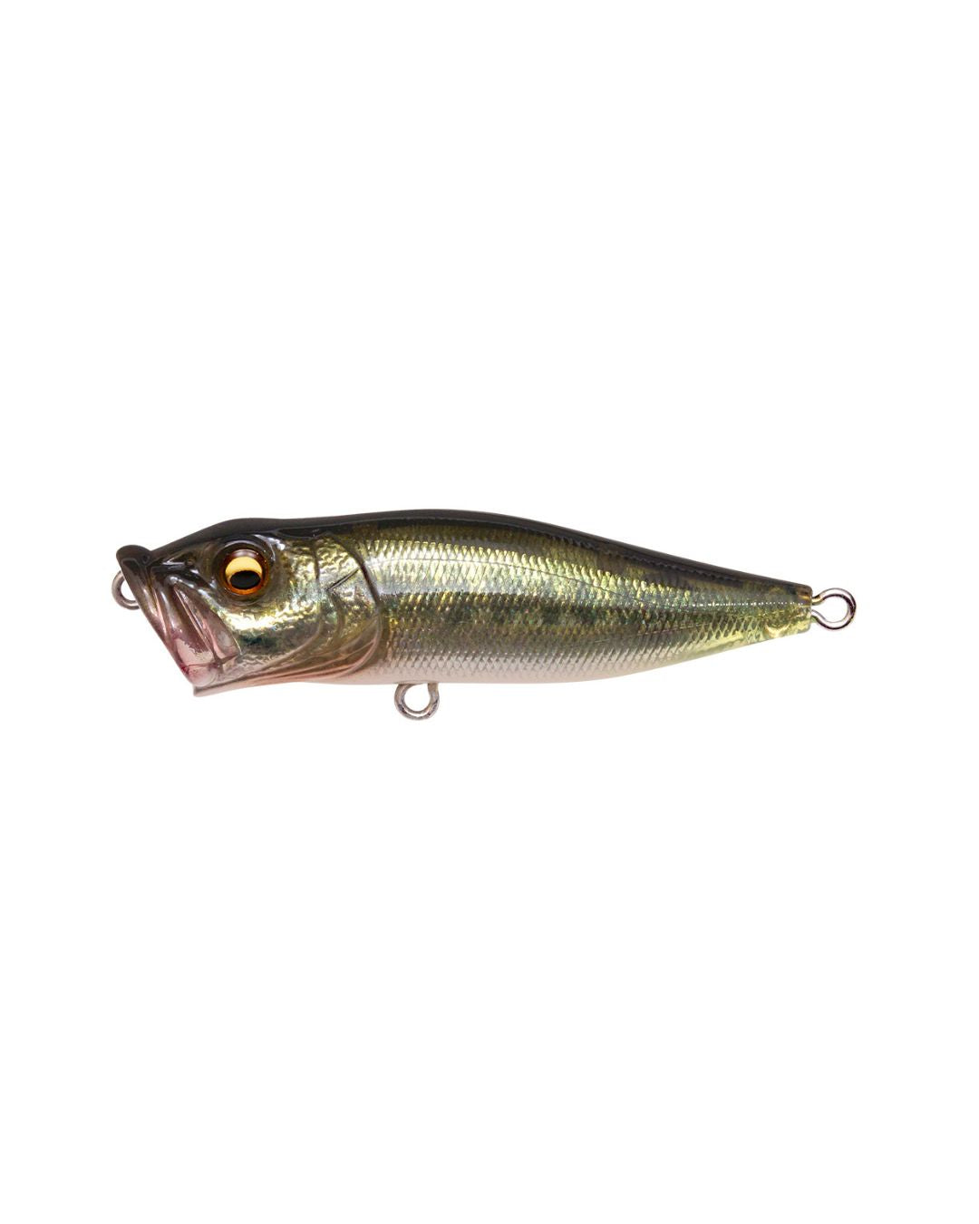 MEGABASS POP X