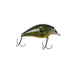 SUNFISH