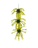 ITTY'S SECRET BAITS 18MM OOGIN 3PC