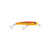 CORAL TROUT