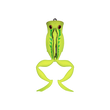 SENSATION 8CM ACTION FROG