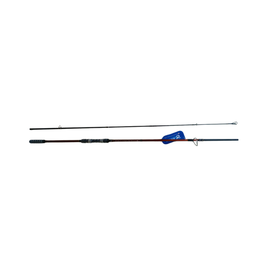 PIONEER CARP SPECIALIST XE 2PC ROD