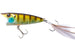 BLUE GILL