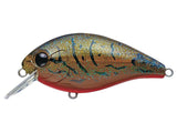 EVER GREEN SHALLOW HAWG #216 OLIVE CRAWDAD