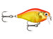 GOLD FLUORESCENT RED